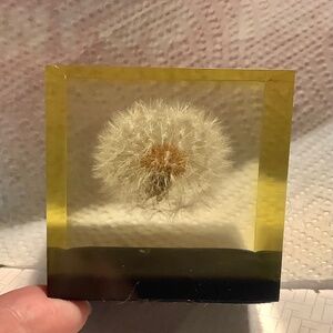 Mid Century Dandelion Flower Lucite Cube Paperweight by Gumps USA 1960s
